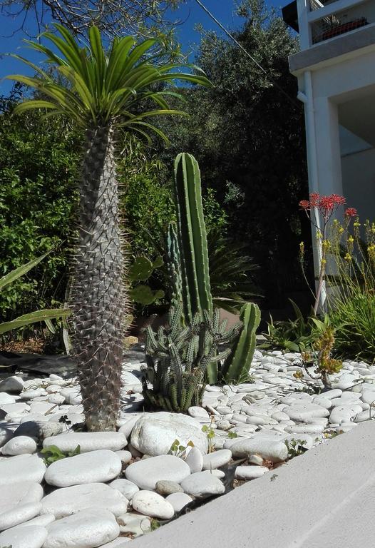 Frühstückspension La Casa A Mare Messina